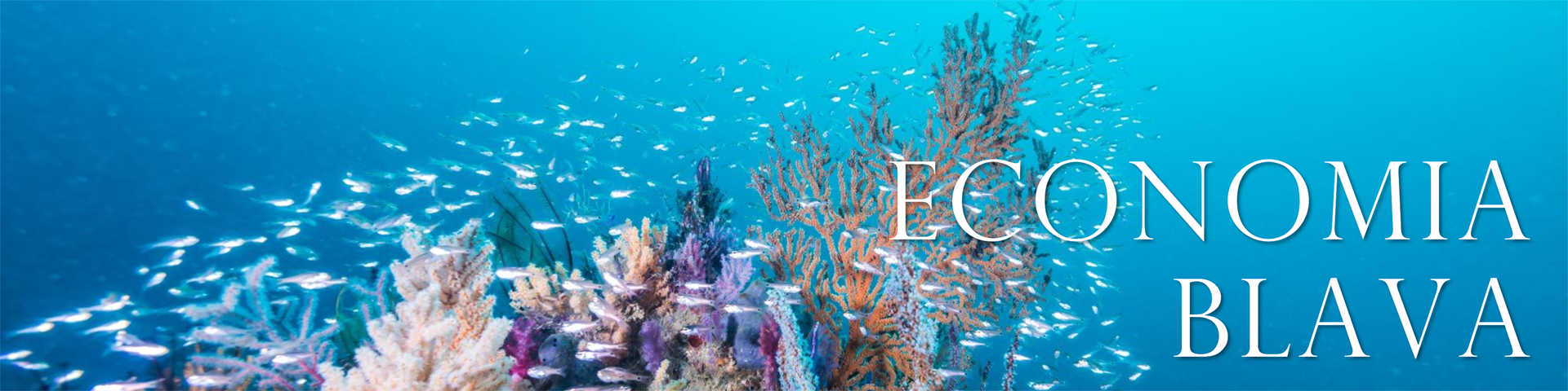 Economia blava