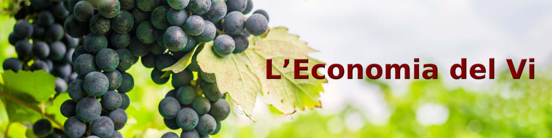 L'Economia del Vi