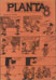 Planta8 núm. 12, 1981 Planta8 núm. 12, 1981