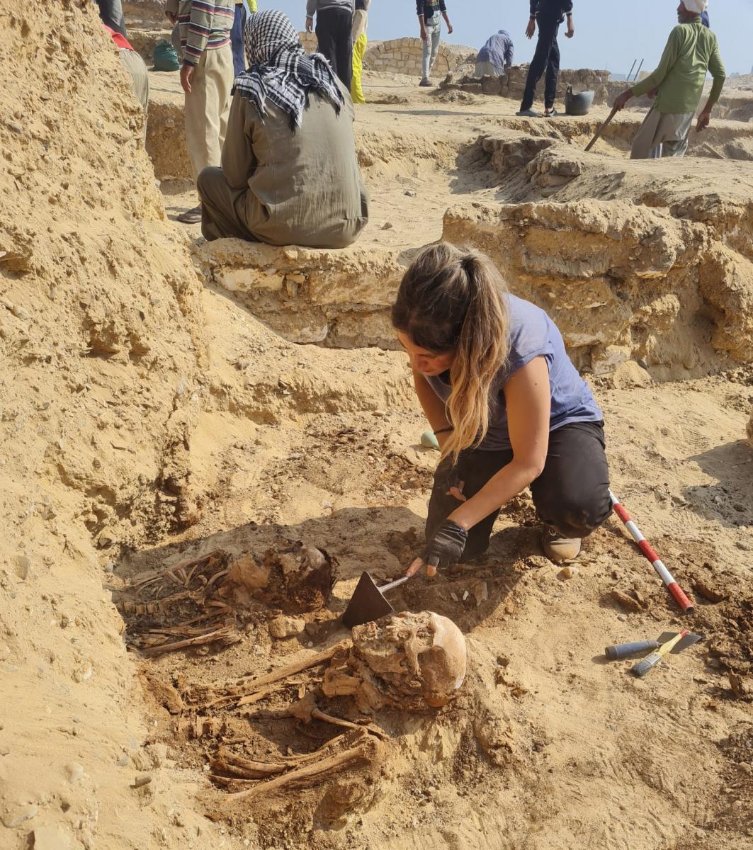 Paletes, recollidors i pinzells Paletes, recollidors i pinzells