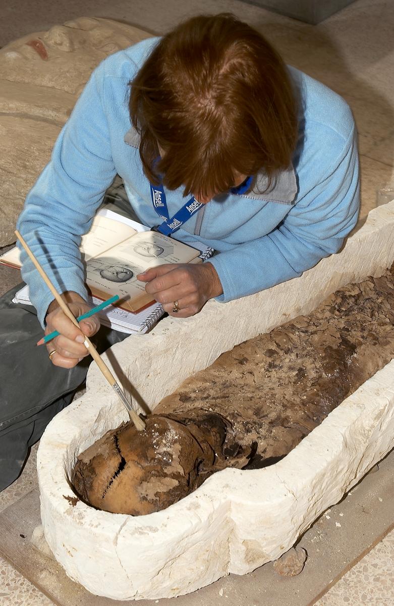 Estudiant una mòmia Estudiant una mòmia