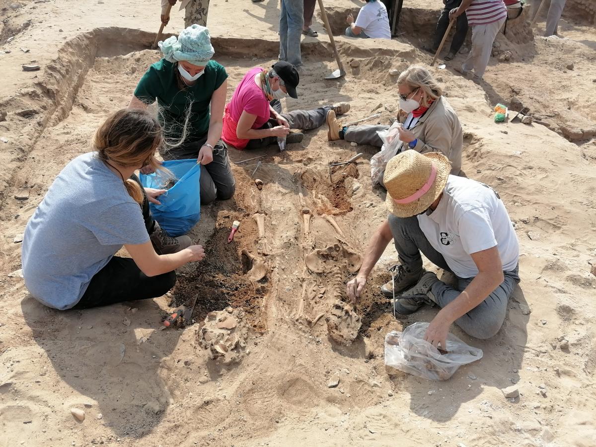 Desenterrant vides Desenterrant vides