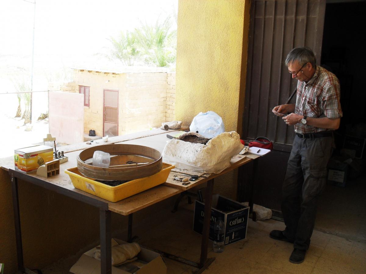 La ciutat del peix oxirrinc La ciutat del peix oxirrinc