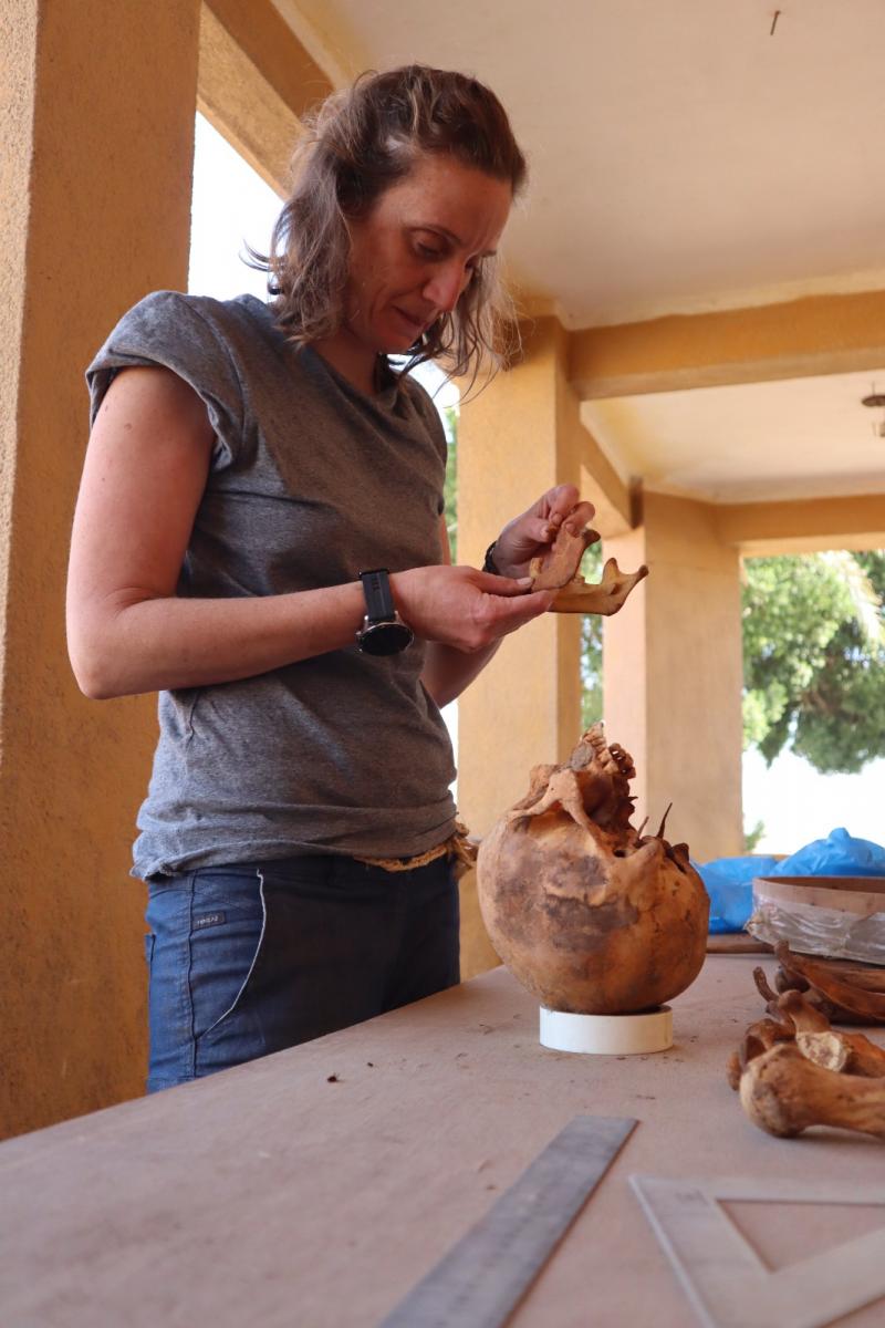 Cara a cara amb el passat Cara a cara amb el passat