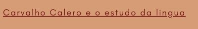 5. Carvalho Calero e o estudo da língua