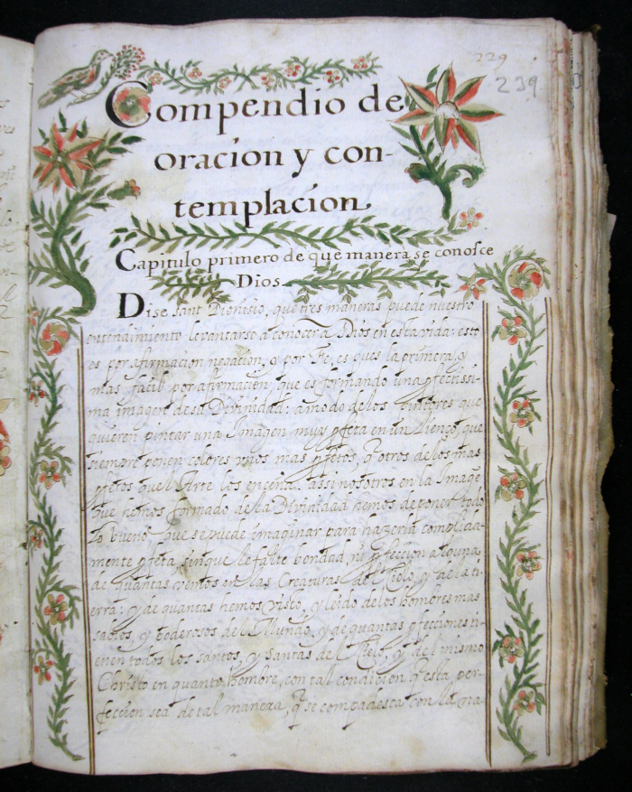 Imatge d'una pàgina de l'obra