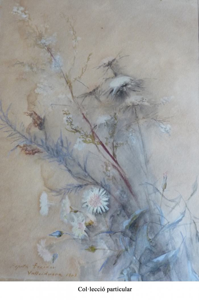 il·lustració floral