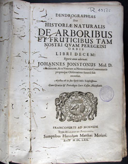 Jonstonus, Ioannes. Dendrographias sive Historiae naturalis de arboribus et fruticibus tam nostri qvam peregrini orbis libri decem : figuris aeneis adornati. Francofurti ad Moenum : typis Hieronymi Polichii : sumptibus haeredum Matthaei Meriani, 1662.