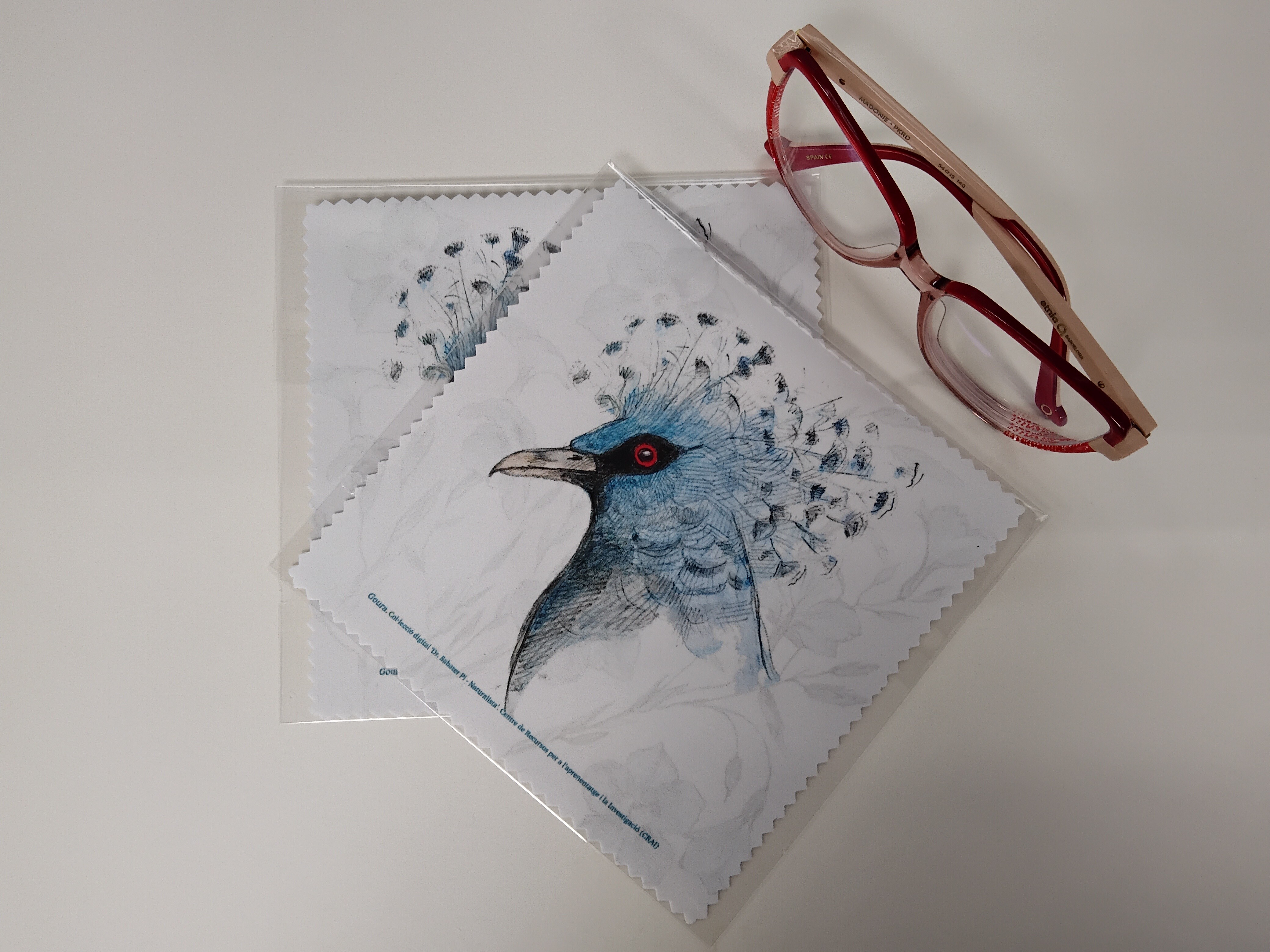 Camussa 'Goura' de la Col.lecció Dr. Sabater Pi - Naturalista