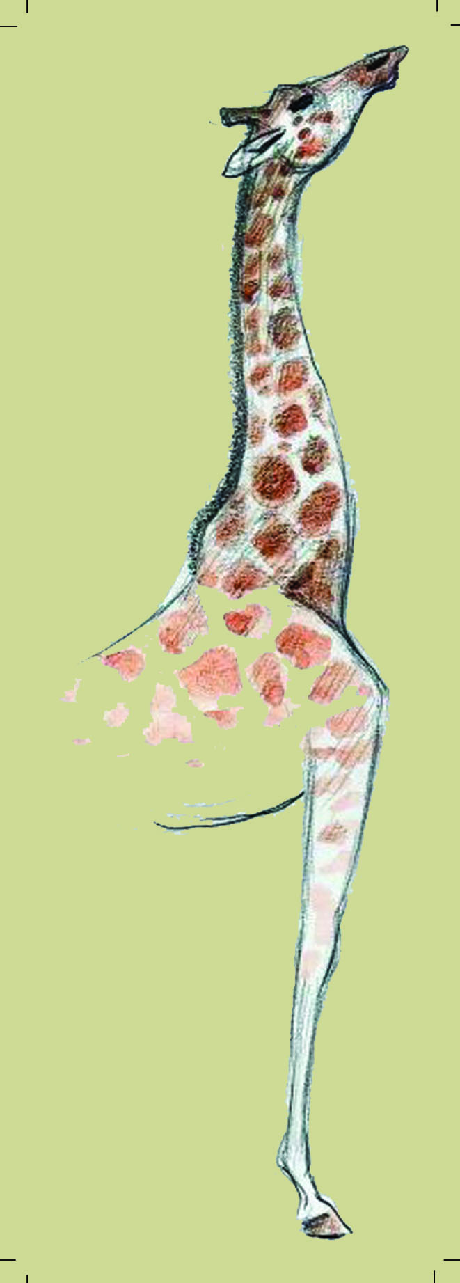 Punt de llibre Sabater Pi