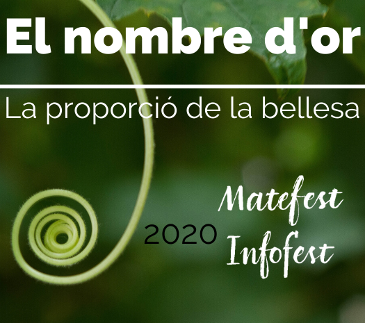 El nombre d'or: la proporció de la bellesa