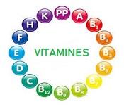 Les vitamines