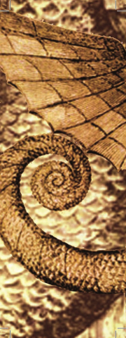 Punt de llibre Sant Jordi 2015