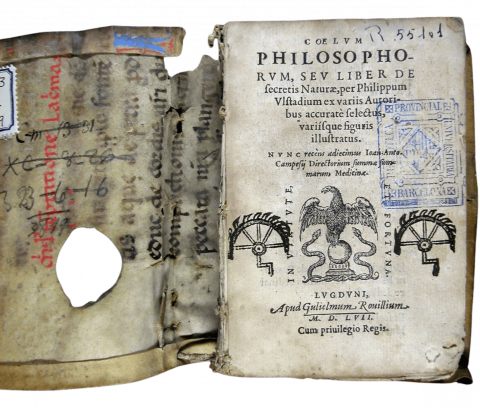 Ulstadius, Philippus. Coelum philosophorum seu liber de secretis naturae