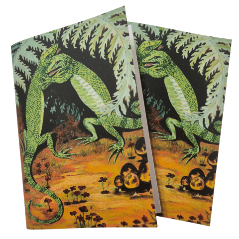 Llibreta Llangardaixos