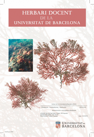 Postal Herbari Docent