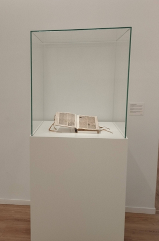 Cròniques d'Espanya