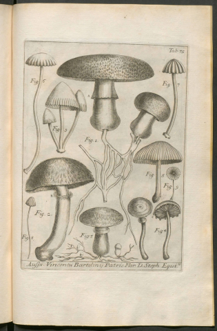 Incorporació de llibres de Botànica al fons del CRAI Biblioteca de Fons Antic