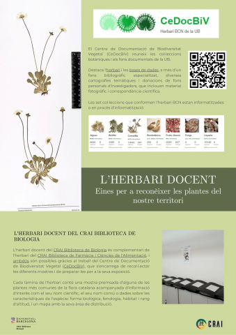 L’herbari docent, protagonista de la nova exposició del CRAI Biblioteca de Biologia