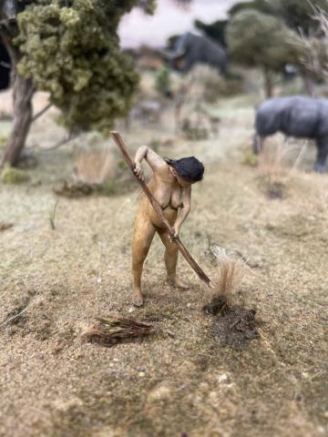 “Història en miniatura”, nova exposició al CRAI Biblioteca de Filosofia, Geografia i Història