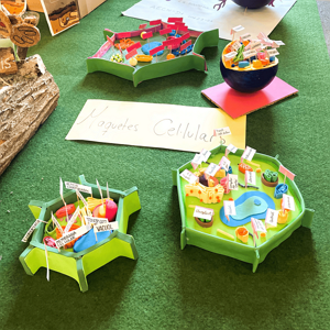 Aprendre de la natura, una nova exposició al CRAI Biblioteca del Campus de Mundet