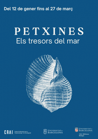 Petxines. Els tresors del mar