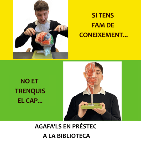 El CRAI Biblioteca de Farmàcia i Ciències de l’Alimentació incorpora dos models anatòmics