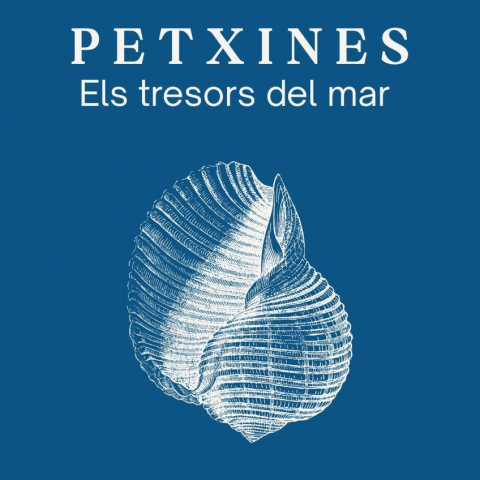 Petxines. Els tresor del mar