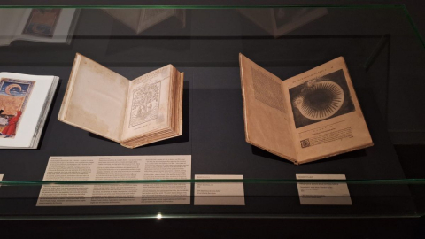 Exposició "Rodoreda, un bosc"