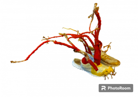 "SABARTA. Creacions de sabates inspirades en artistes plàstiques contemporànies" al CRAI Biblioteca del Campus de Mundet