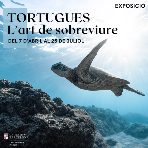 Exposició al CRAI Biblioteca de Biologia sobre les tortugues: un viatge entre història, natura i cultura