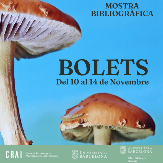 Mostra bibliogràfica Bolets