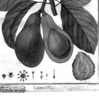 El CRAI Biblioteca de Biologia a Exponatura 2015