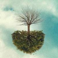 El CRAI Biblioteca de Reserva present a l'exposició "La màquina de pensar: Ramon Llull i l'ars cominatòria"