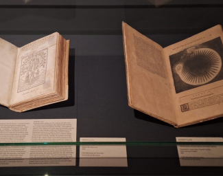 Exposició "Rodoreda, un bosc"