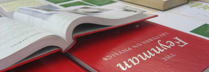 El professor Richard Feynman