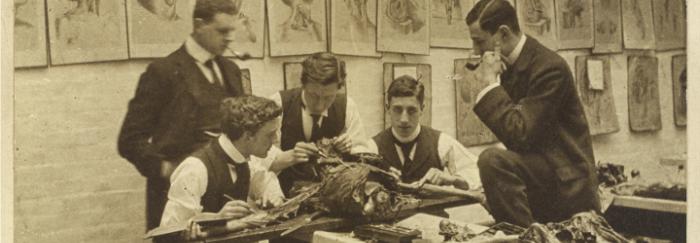 Imatge disponible a Wellcome Images. The interior of a disecting room: five students and/or teachers dissect a cadaver.