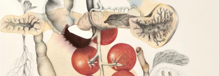 "Heirleum" de Vesna Jovanovic. Tinta, grafit i llapis de color sobre paper.