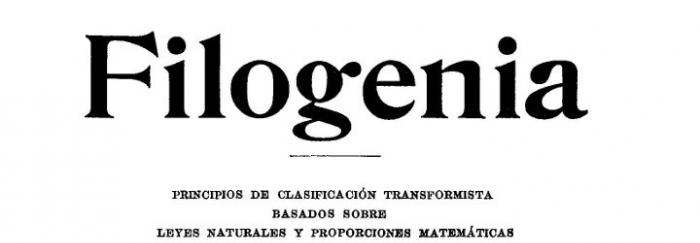 Florentino Ameghino. Filogenia