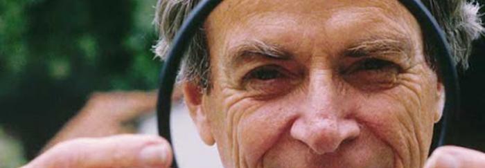 Feynman junta tòrica